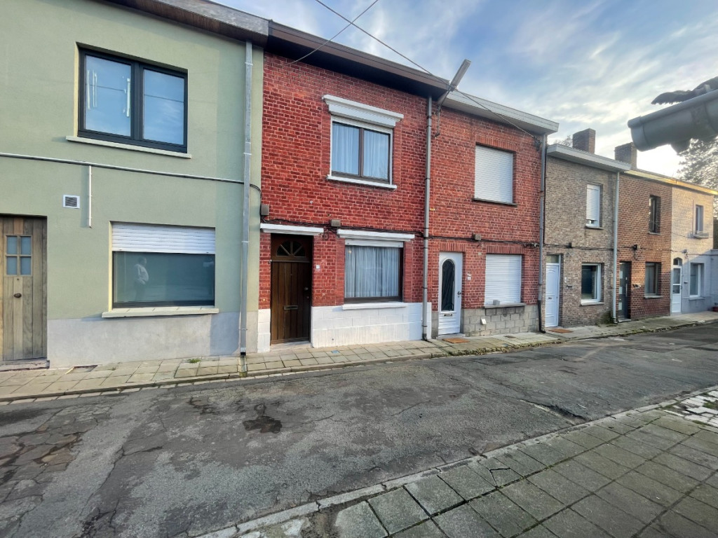 Koer Verack - 9 - - 8940