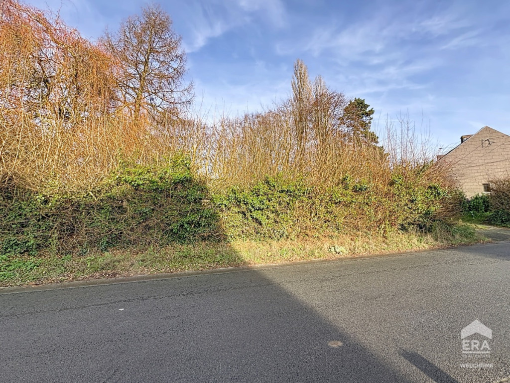 rue des Panottes - 58 - - 7830