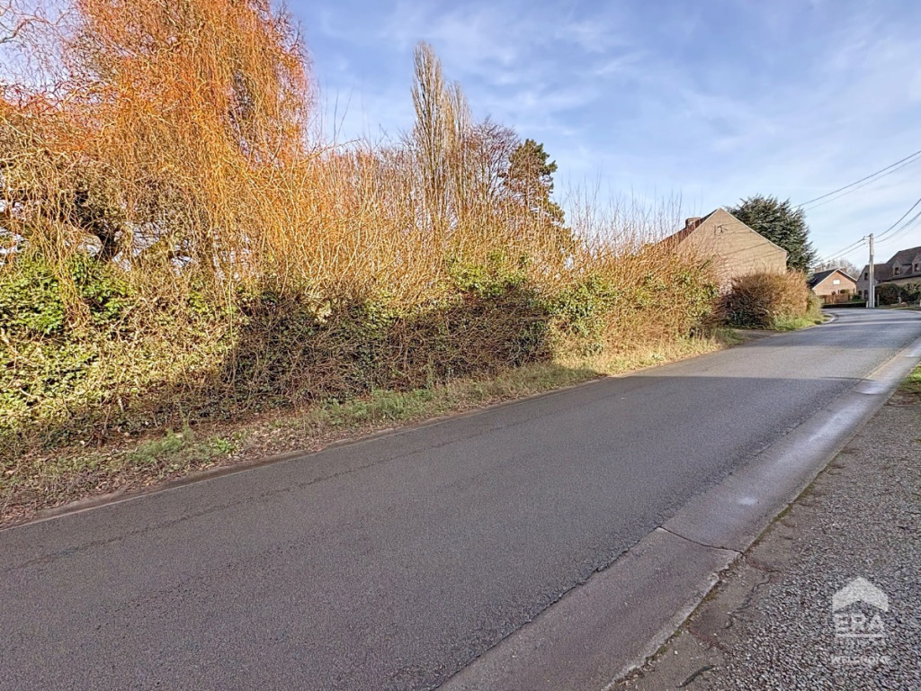 rue des Panottes - 58 - - 7830