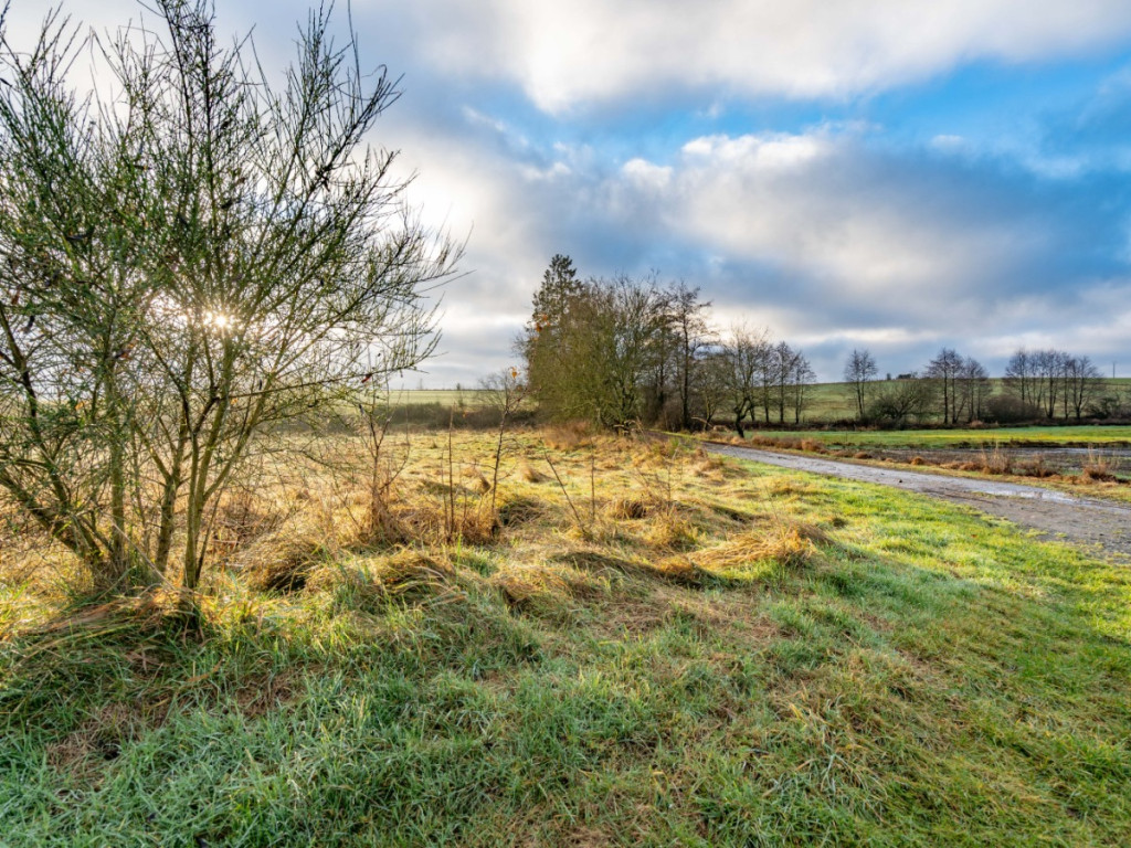 A la fange du Meunier - 0 - - 6642