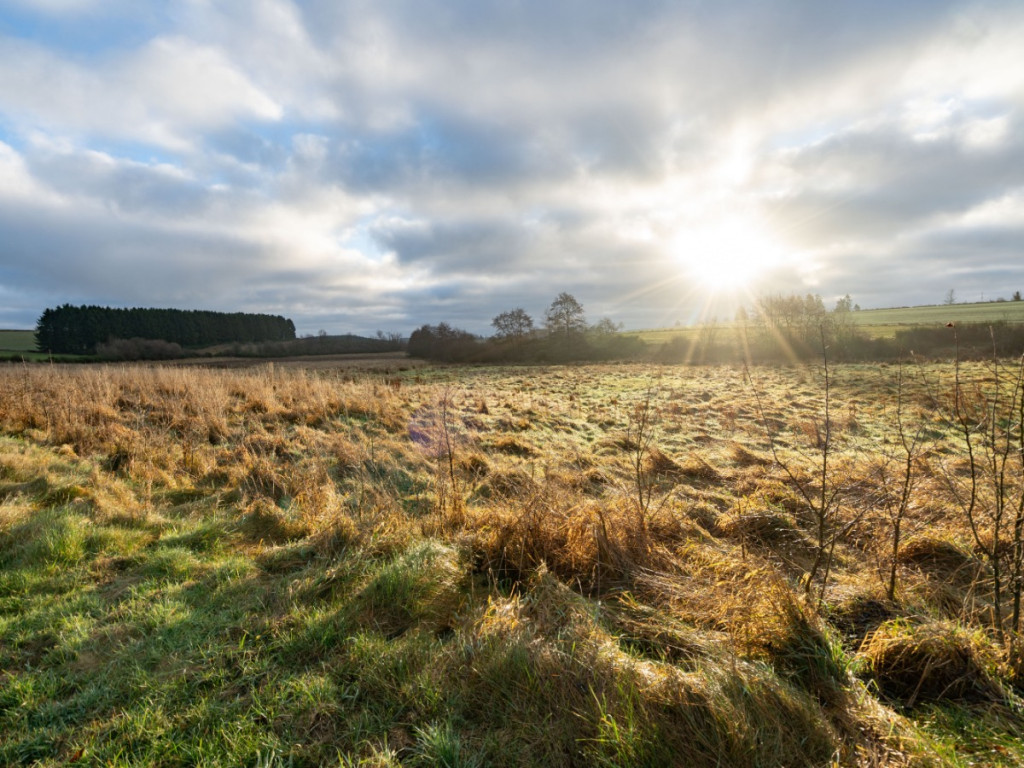 A la fange du Meunier - 0 - - 6642