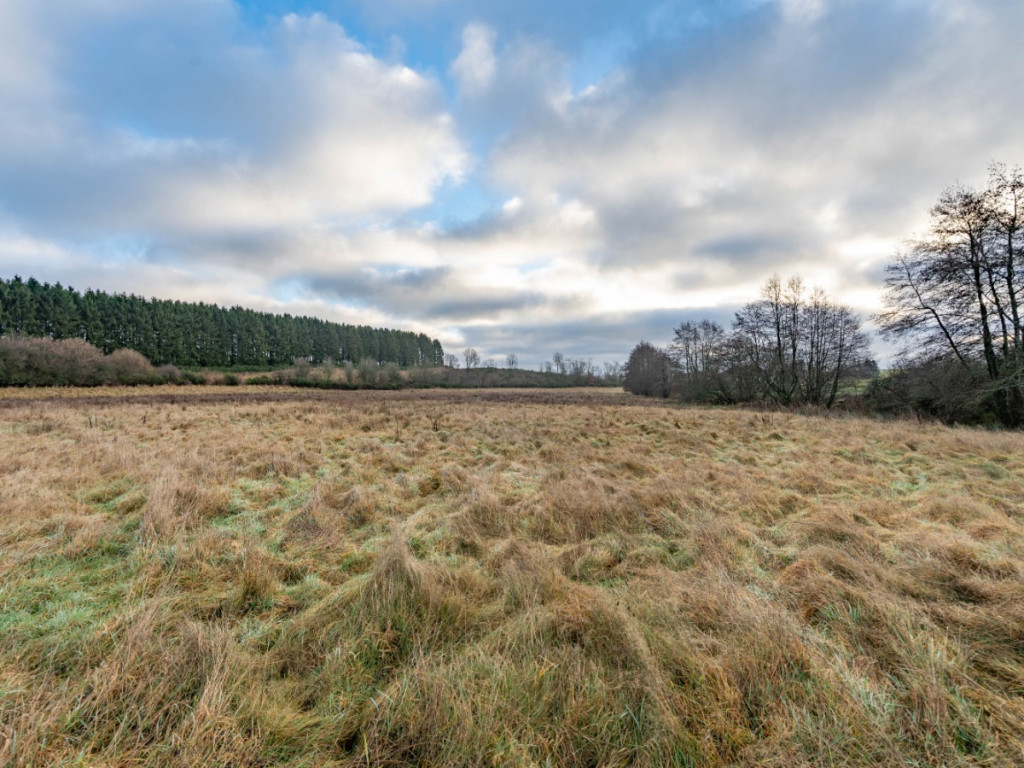 A la fange du Meunier - 0 - - 6642