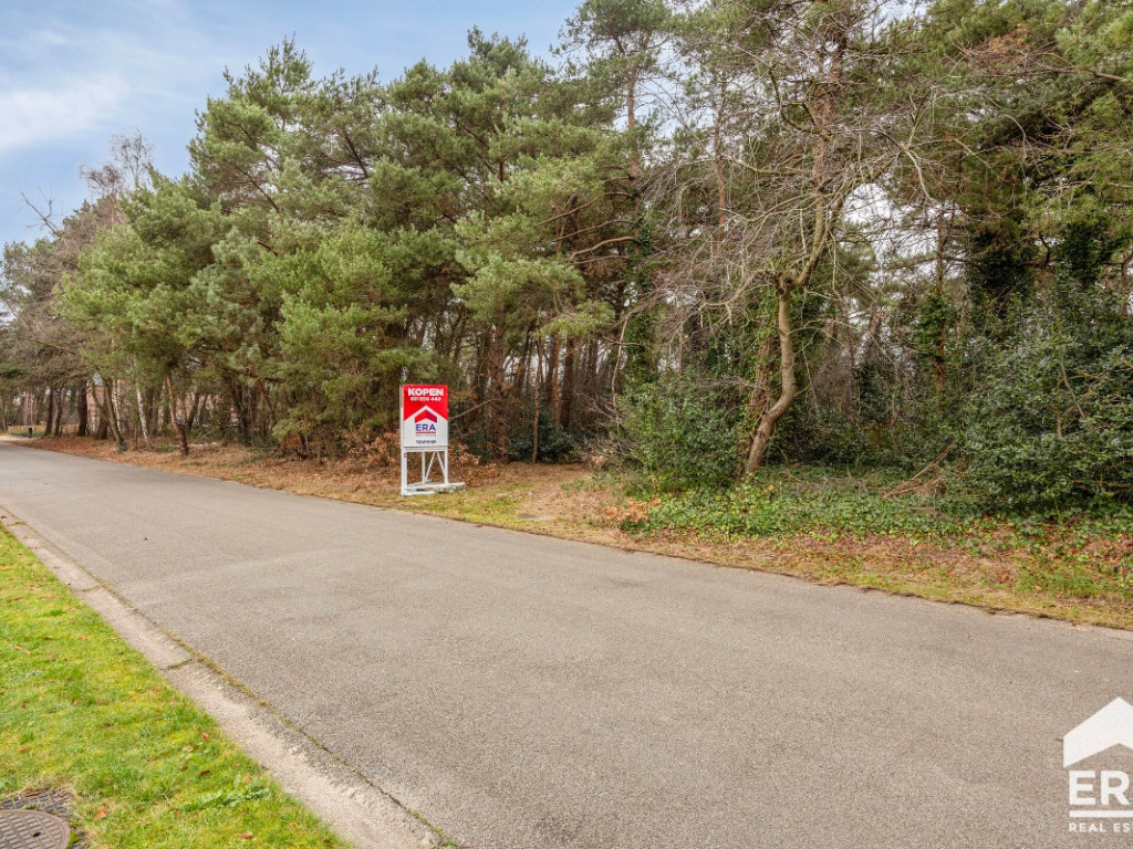 Sint-Pieterstraat - z/n - - 3920