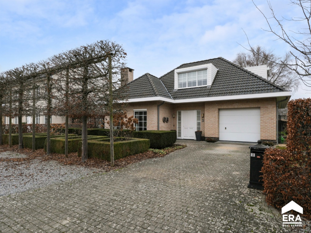 Peter Hanegreefsstraat - 3 - - 3920