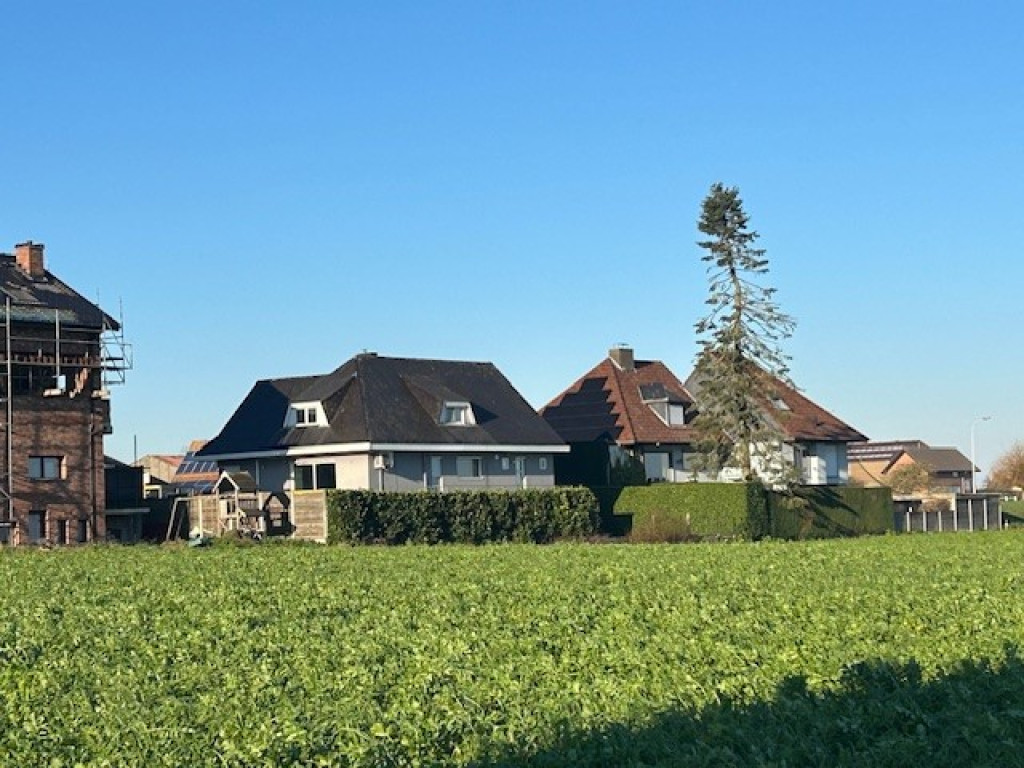 Kezelberg - 56 - - 8560