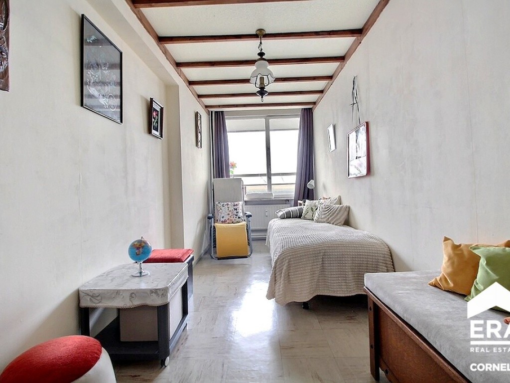 arbre ballon - 20 - 16 - 1090