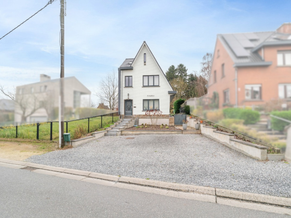 Driekastanjelaarsstraat - 25 - - 1850