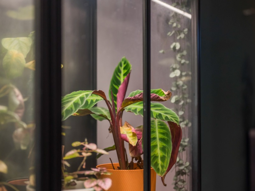 Heistraat - 63 - - 9100