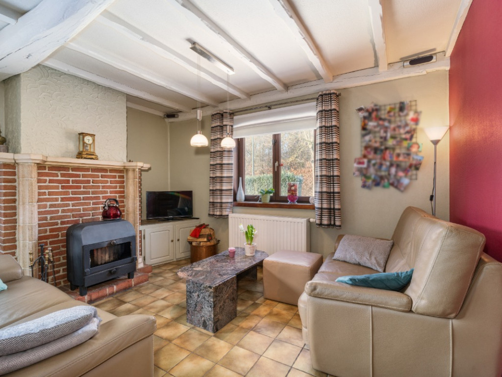 Bloemenveld - 1 - - 1930