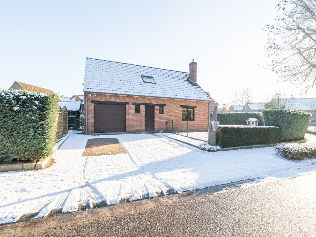 Bloemenveld - 1 - - 1930