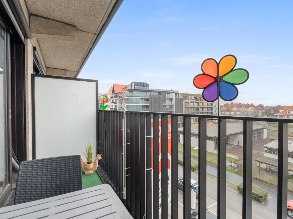 Franslaan - 23 0304 - Zeearend - 8620