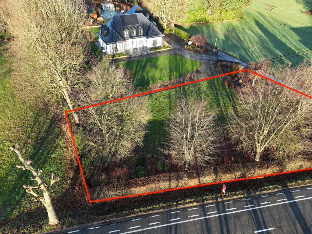 Groot Overlaar - 245 - - 3300