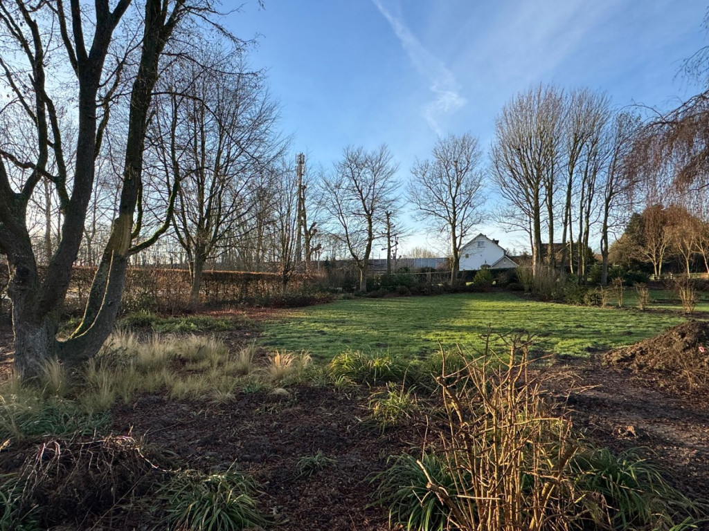 Groot Overlaar - 245 - - 3300