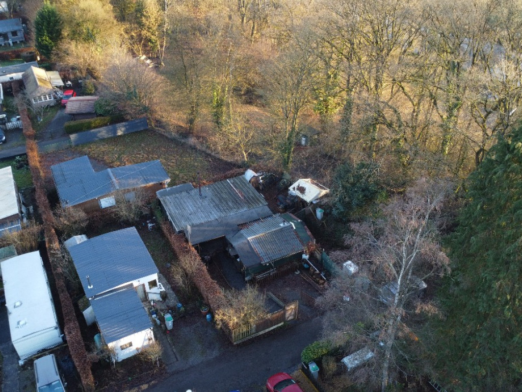 Tier de Rinze - 37 - 100 - 6940