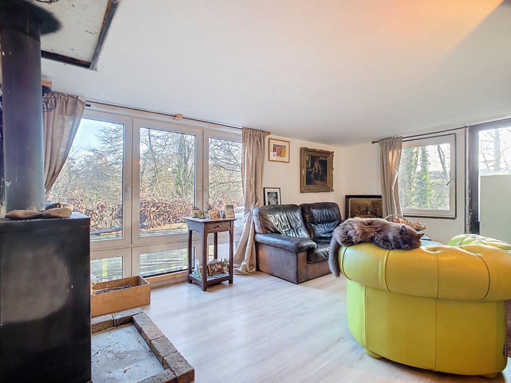 Tier de Rinze - 37 - 100 - 6940