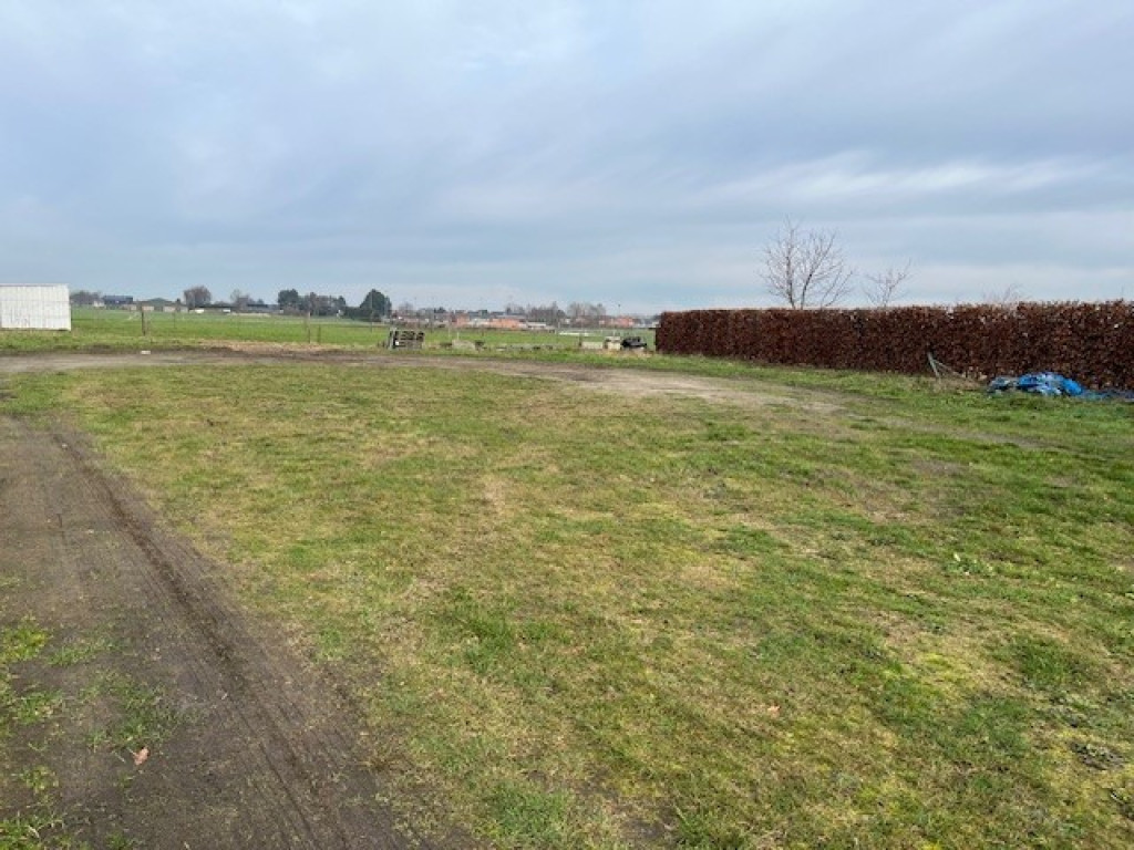 Moerstraat - 68 - F - 2320