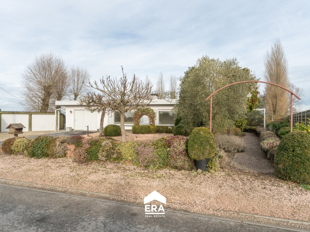 Lampettenstraat - 13 - - 8770