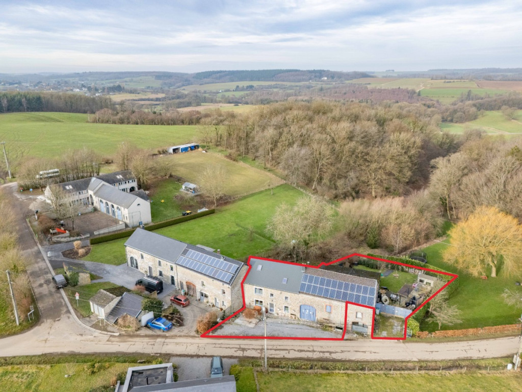 Tige du Bois de Gras - 12 - - 6941