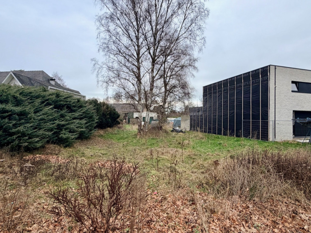 Nachtegalenstraat - 25 - - 3520