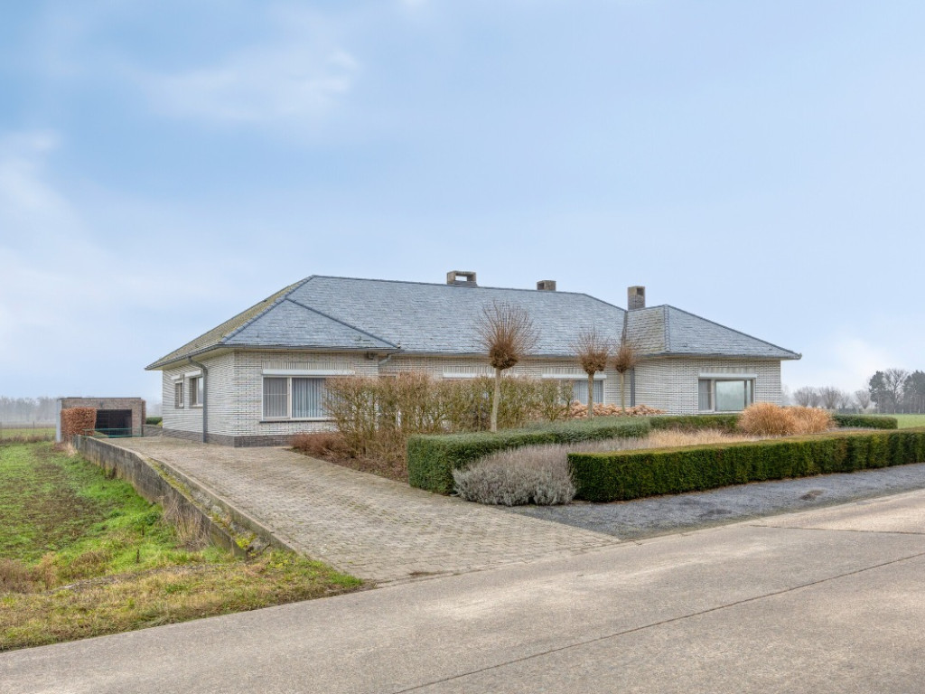 Hombekerkouter - 142 - - 2811