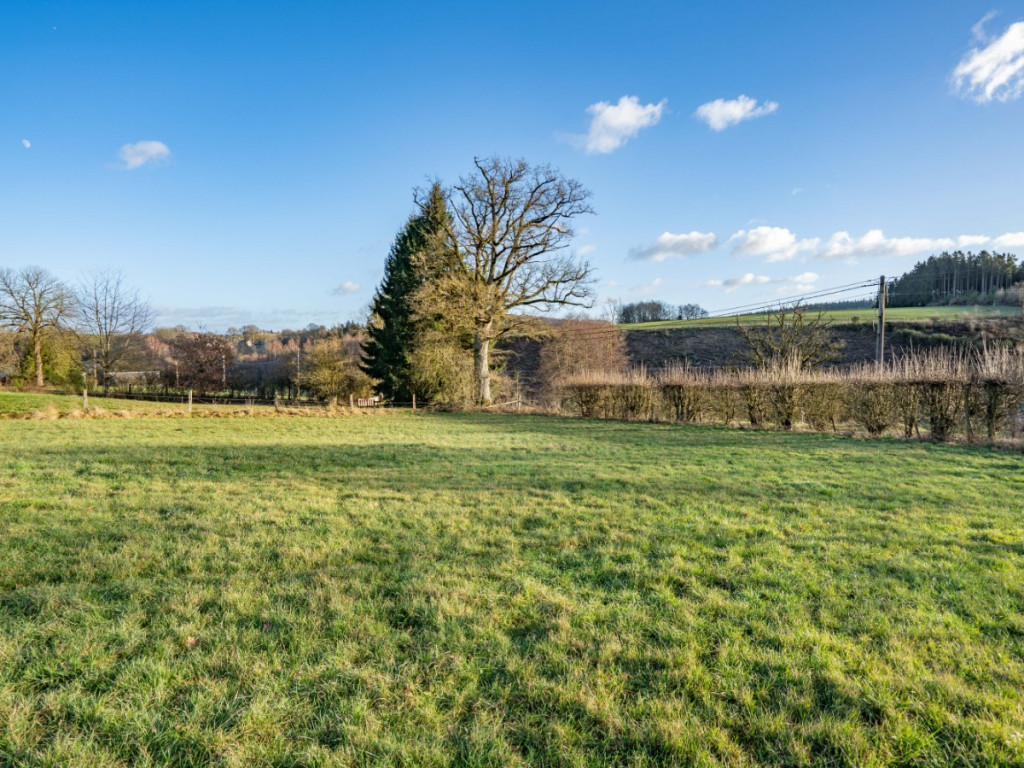 Buisson - LOT 1 - 1605C - 6980