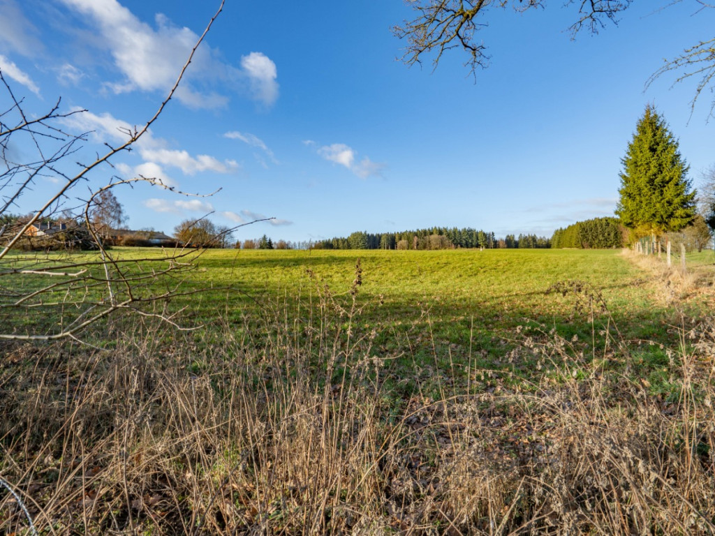 Buisson - LOT 1 - 1605C - 6980