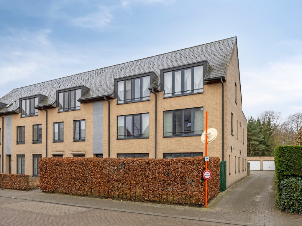 Hoogstraat - 41 - 201 - 2830