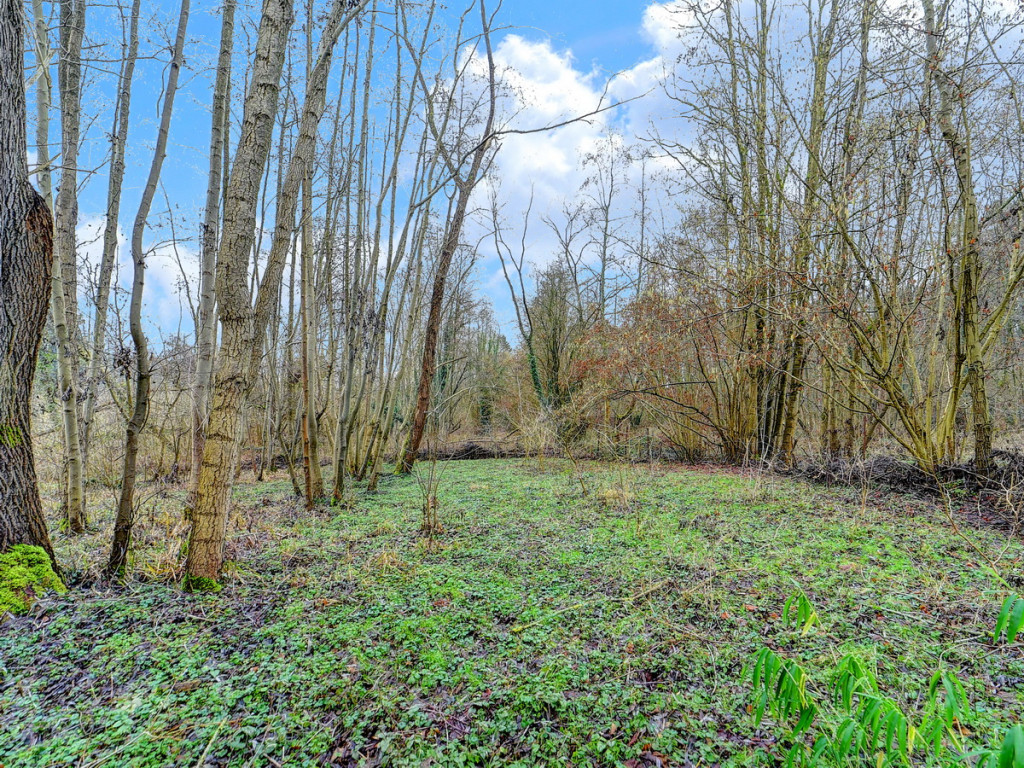 Kaalheide - 33 - - Huldenberg