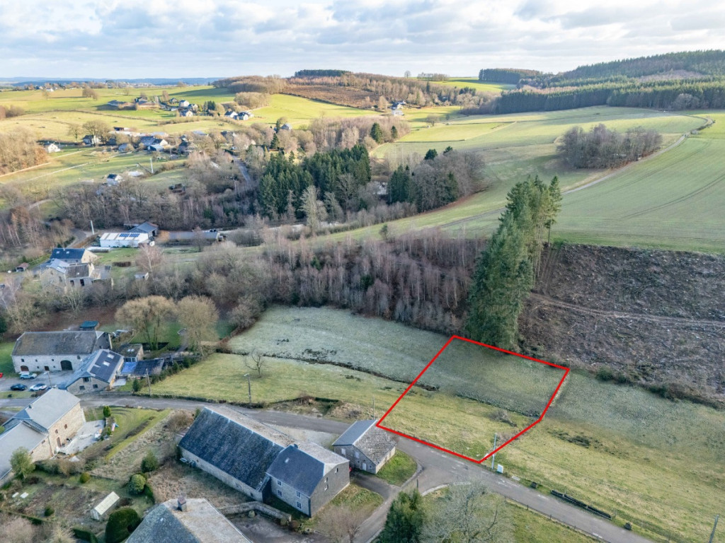 Buisson - LOT 4 - division - 6980