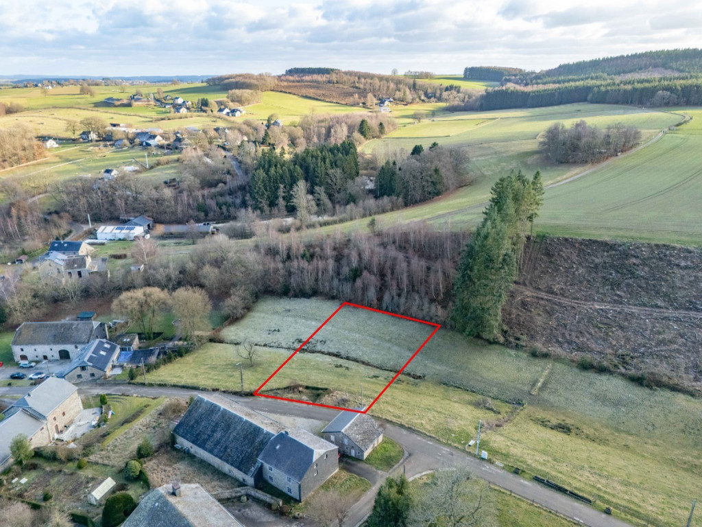 Buisson - LOT 3 - division - 6980