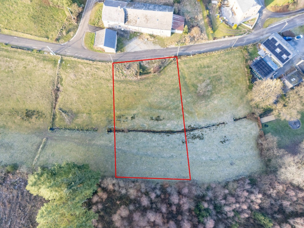 Buisson - LOT 3 - division - 6980