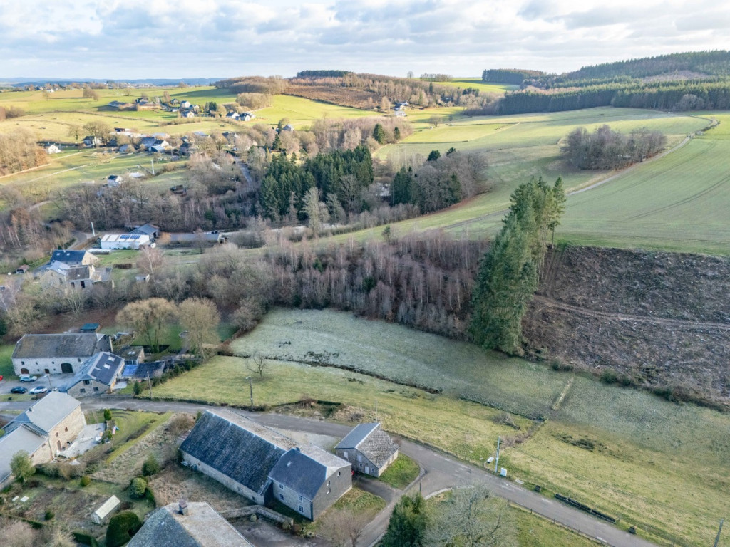 Buisson - LOT 3 - division - 6980