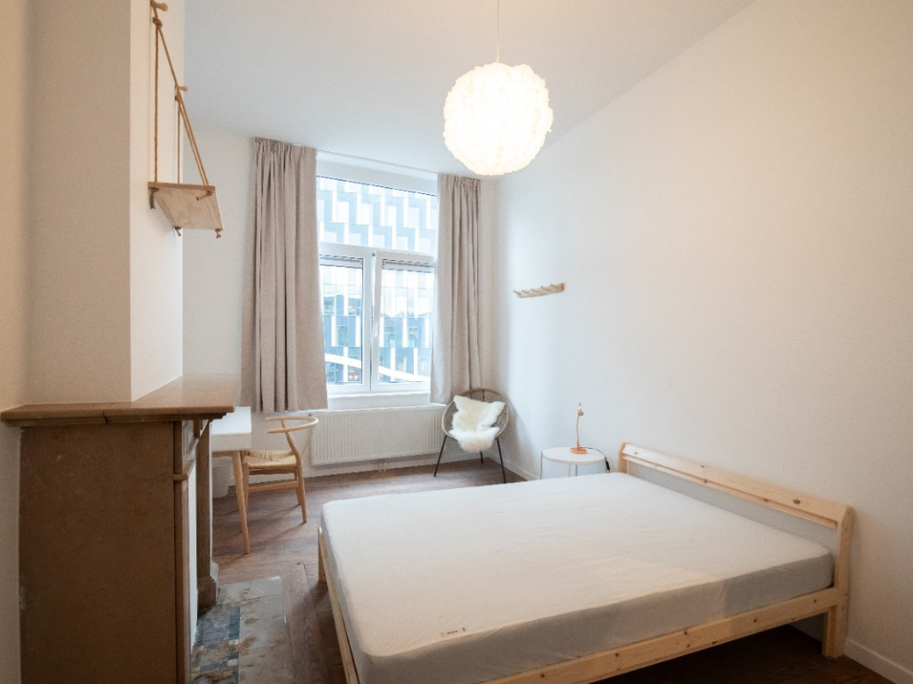 Rue Paradis - 64 - - 4000