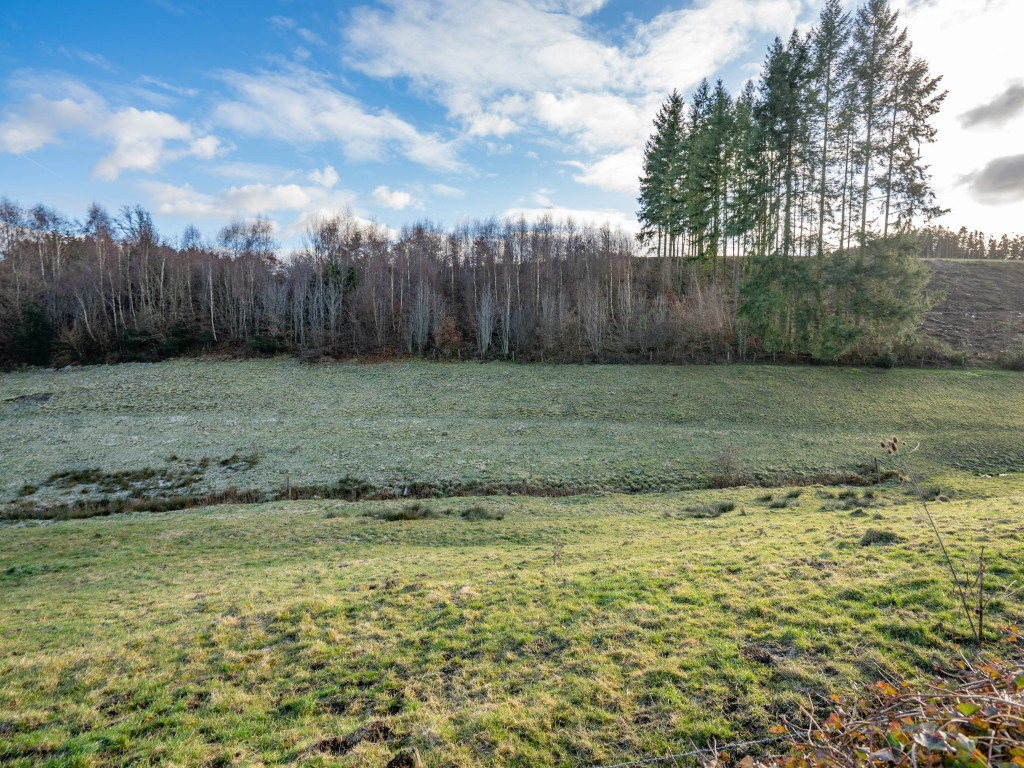 Buisson - LOT 3 - division - 6980