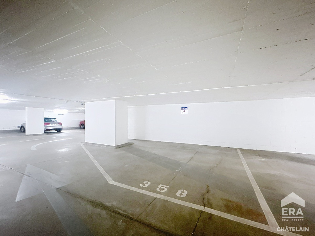 Avenue Livingstone - 6 - -3 - 1000