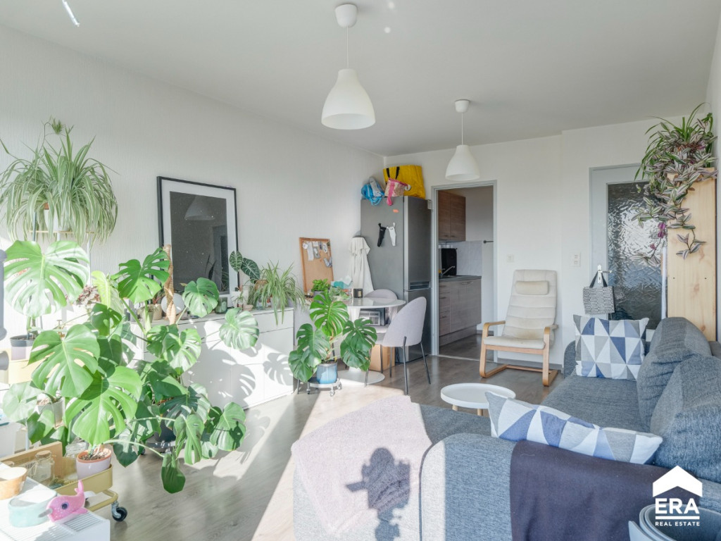 Herkenrodesingel - 23 - 41 - 3500