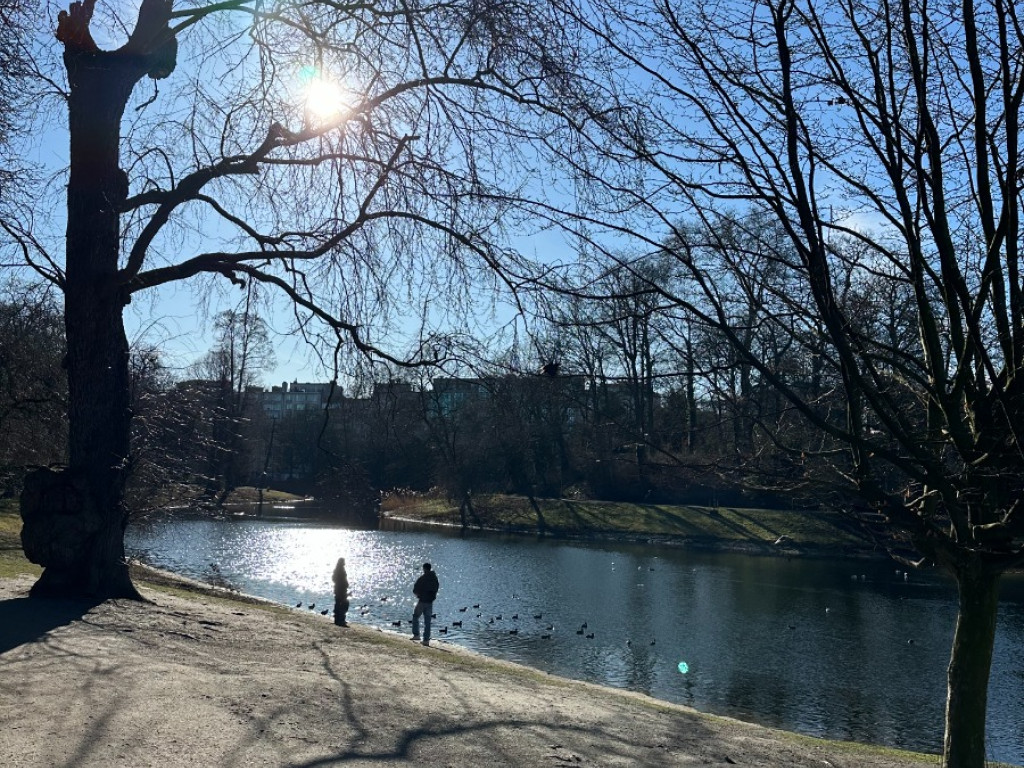 Quinten Matsijslei - 32 - - 2018