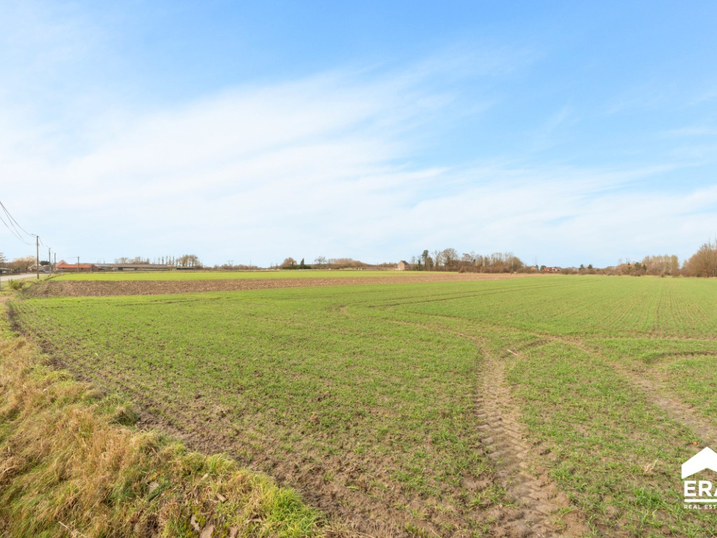 Pelsstraat - 97 - bus + - 3350