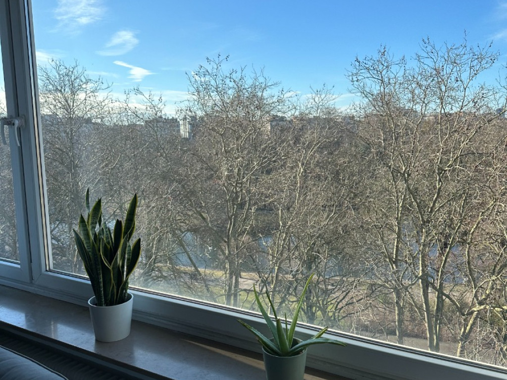 Quinten Matsijslei - 32 - - 2018