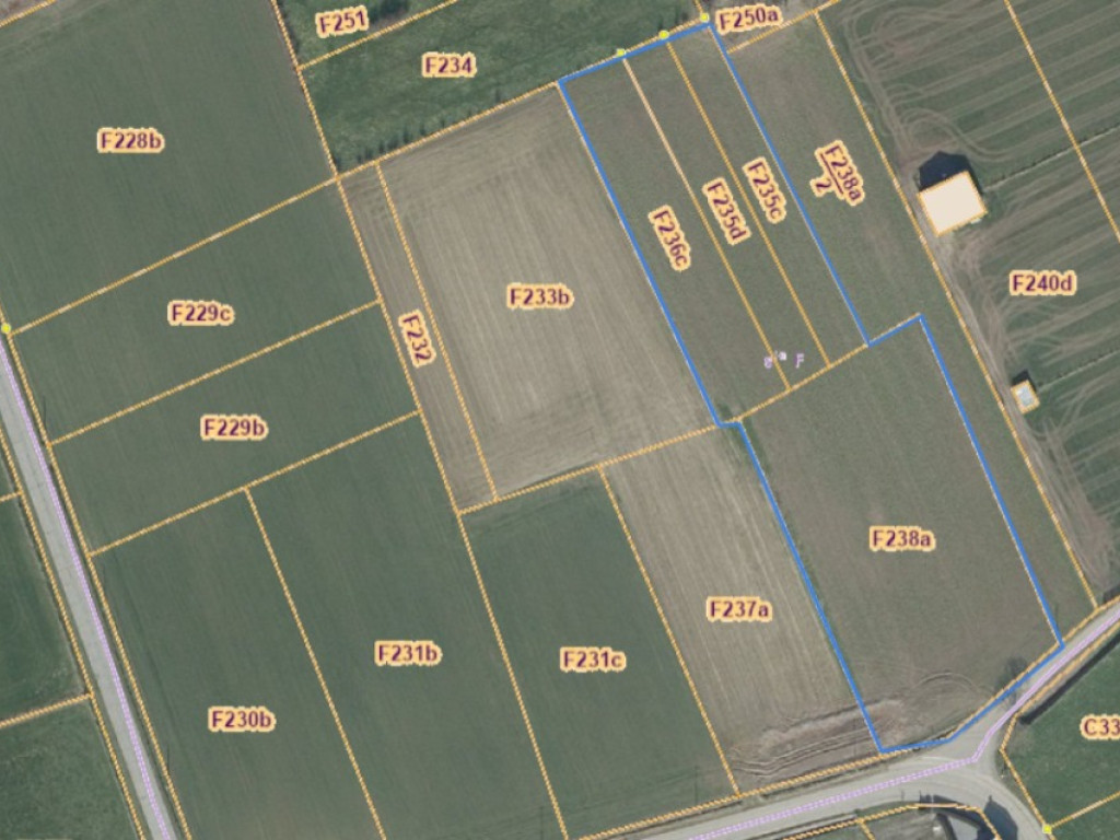 Pelsstraat - 97 - bus + - 3350