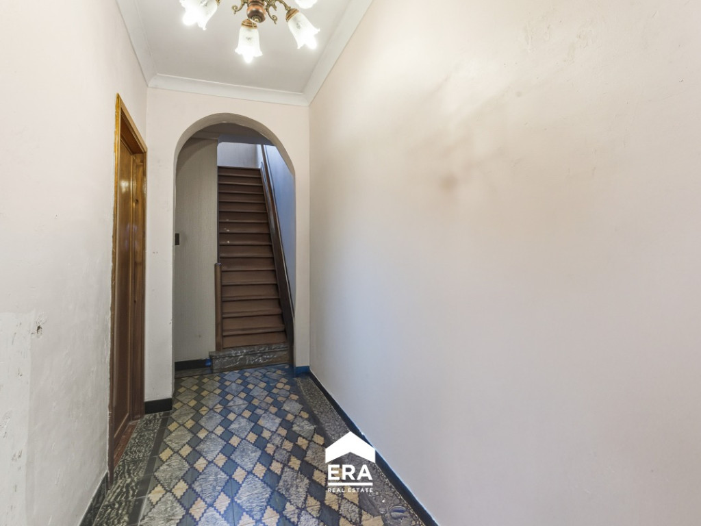 Katsweg - 30 - - 9990