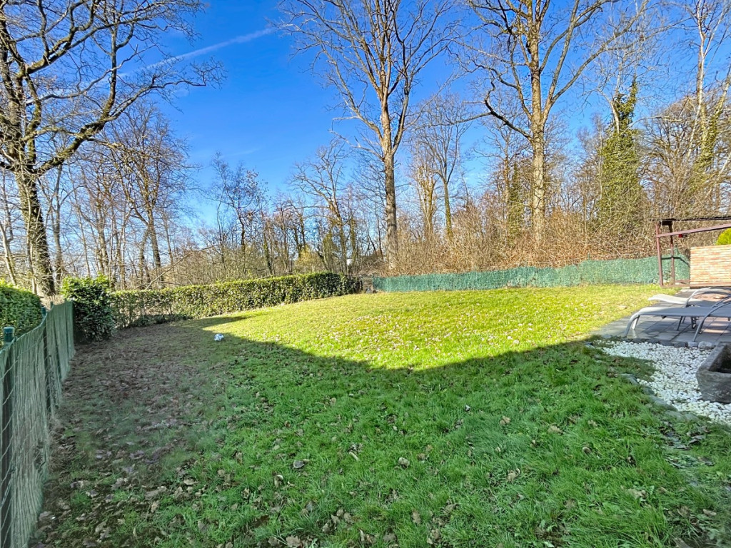 Tige des Saules - 36 - - 4550