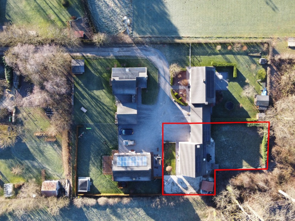 Tige des Saules - 36 - - 4550