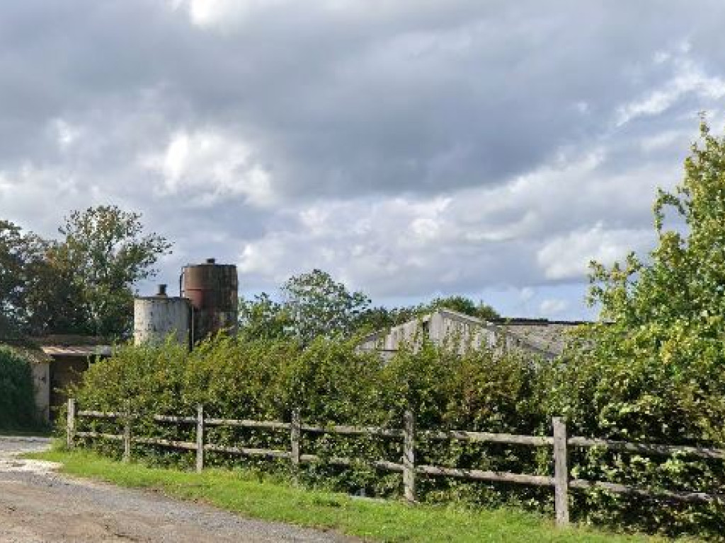 Rue du Château - 4 - - 6997