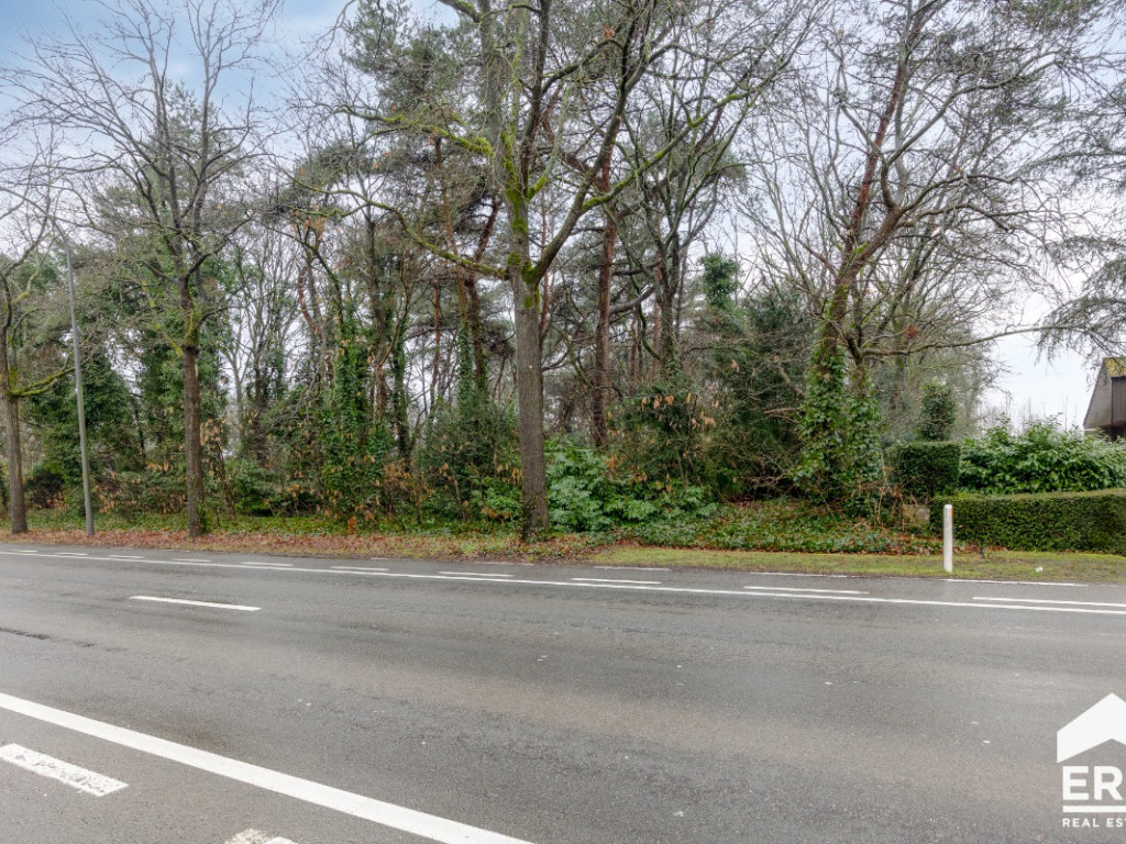 Luikersteenweg - zn - - 3920