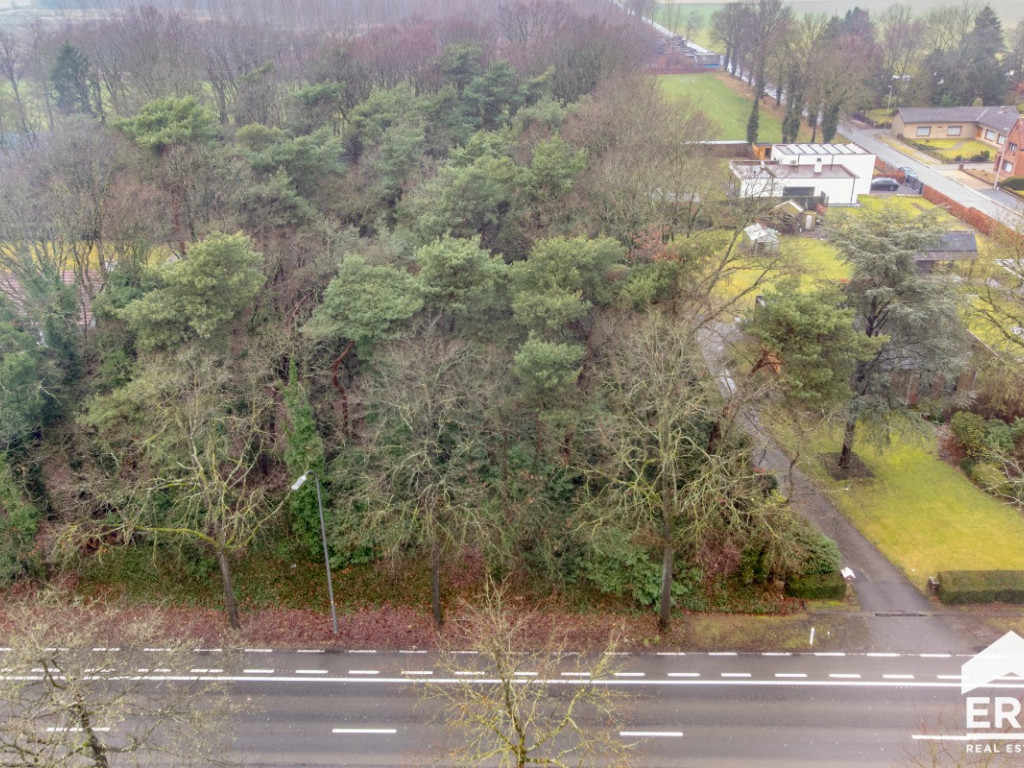 Luikersteenweg - zn - - 3920