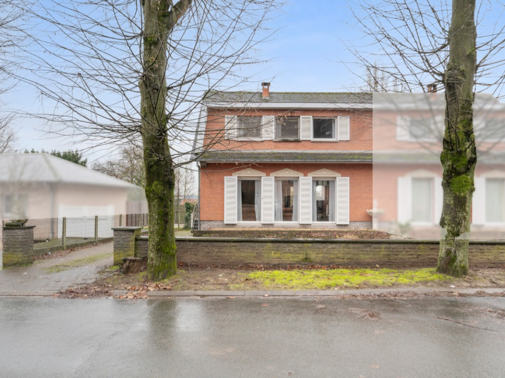 Lenterik - 37 - - 1800