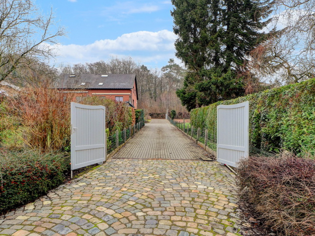 Kaalheide - 33 - - Huldenberg