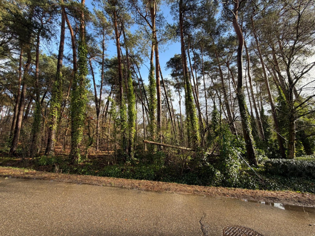 Sperwerlaan - 28 - lot 1 - 2280