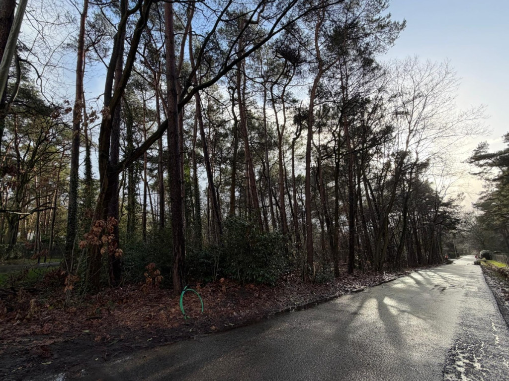 Sperwerlaan - 28 - lot 2 - 2280